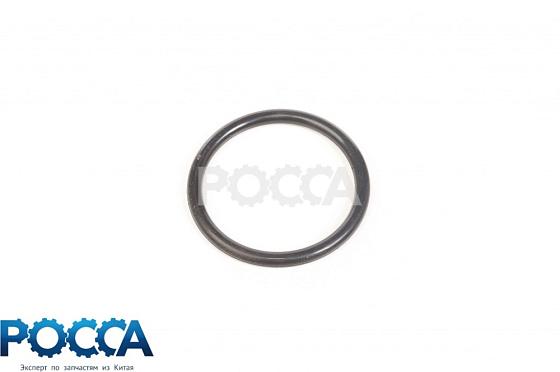 Кольцо уплотнительное маслоохладителя (резиновое) FOTON (Фотон) 1069 1099