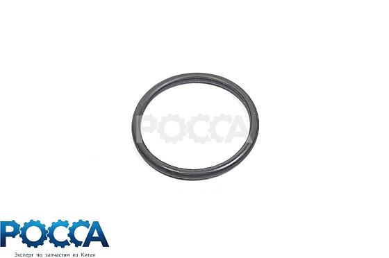 Кольцо уплотнительное форсунки FOTON (Фотон) 1039 1049C Aumark